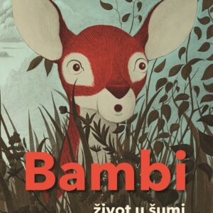Bambi – Život u Šumi
