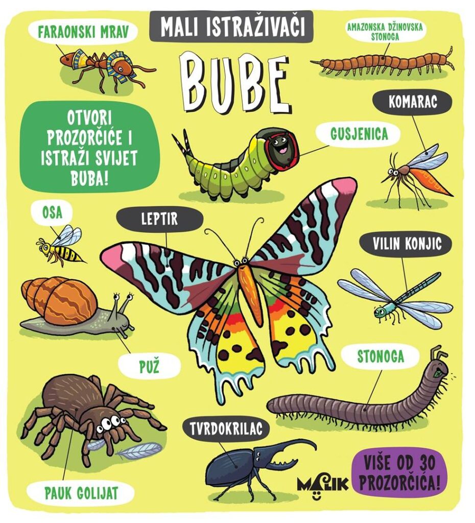 Mali istraživači – Bube
