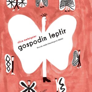 Gospodin Leptir